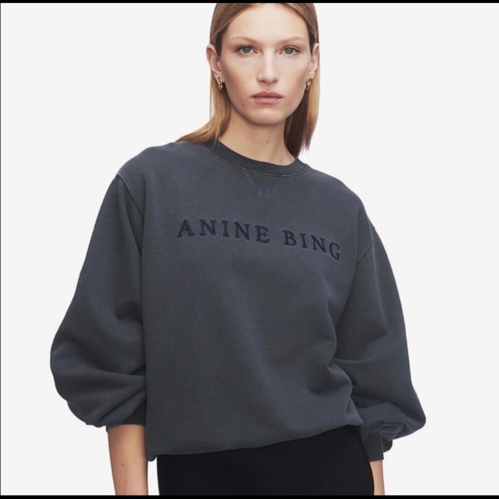 Like New ANINE BING gray sweatshirt